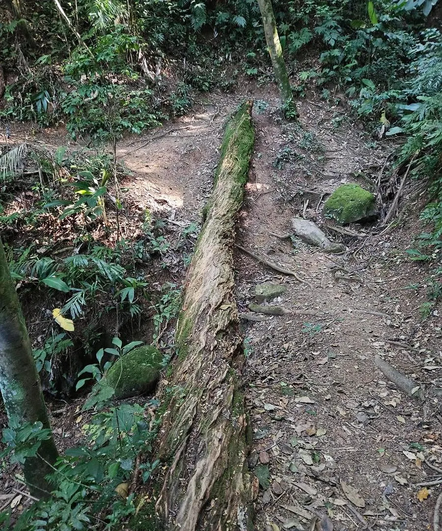 Gerendaház Chales Da Trilha Penha Brazília