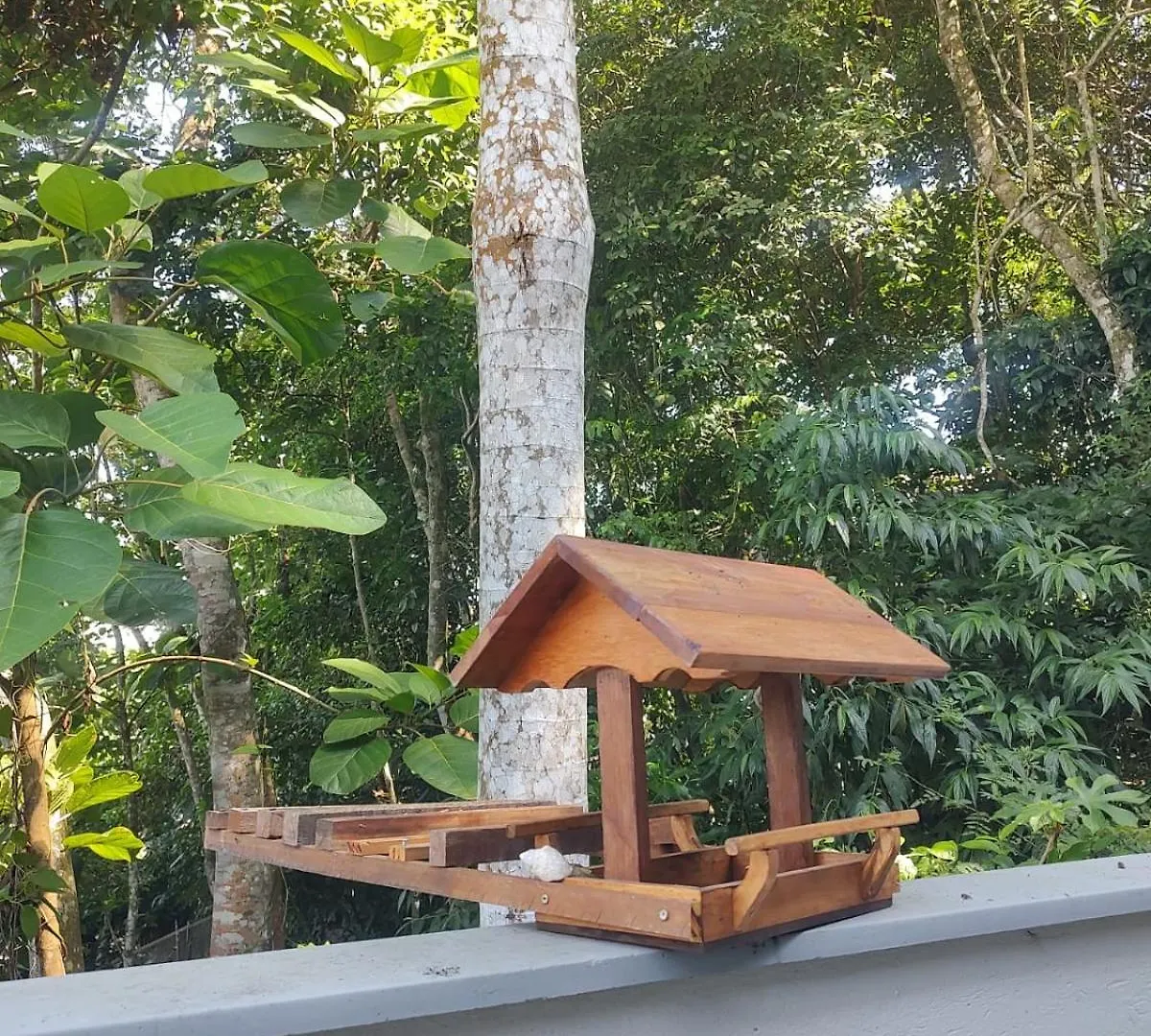 Chales Da Trilha Penha Brazília